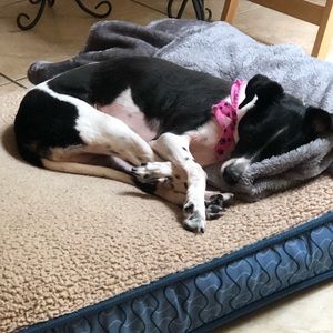 Meet your Posher, Charlene